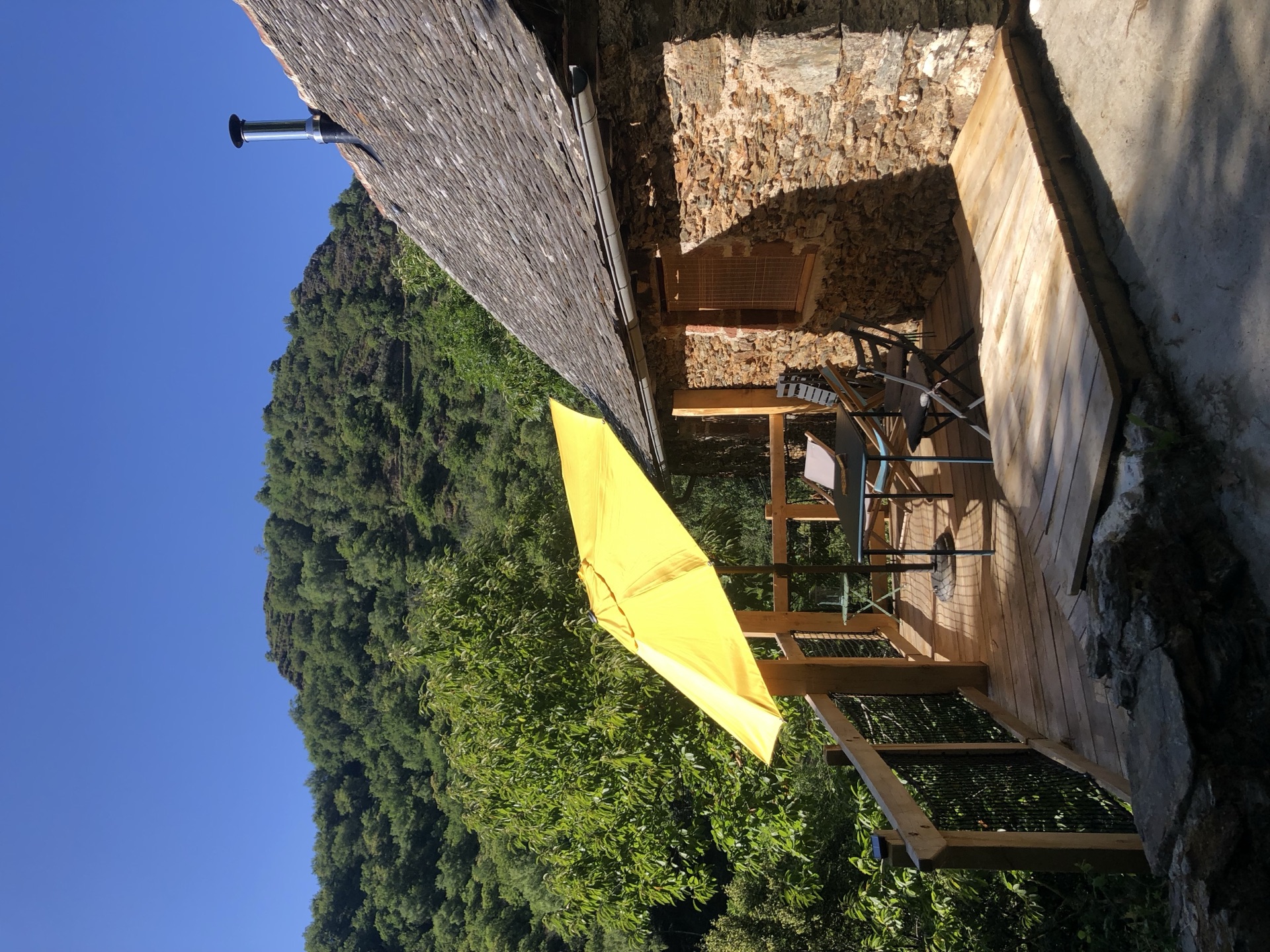 Forêt de châtaigniers centenaires à La Roquette, Grand-Vabre
