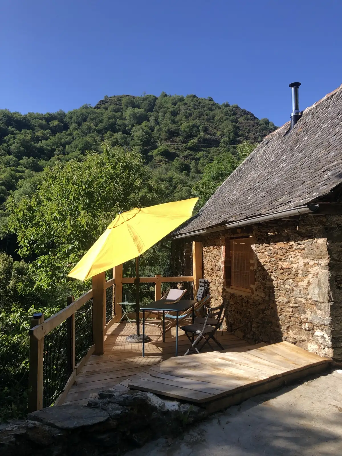 Forest Bathing au cœur des châtaigniers : ressourcement en Aveyron
