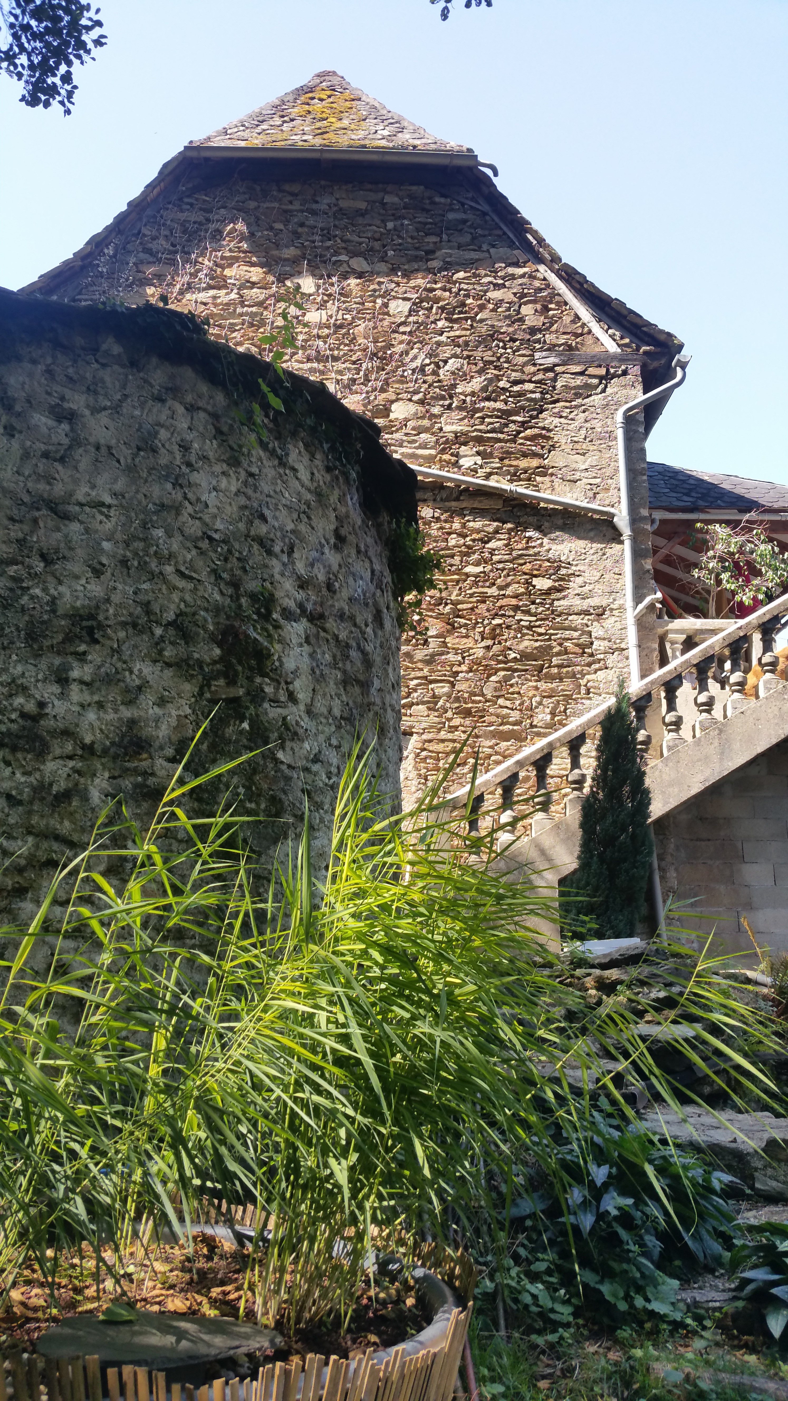 Bassin de phytoépuration planté d'iris à La Roquette