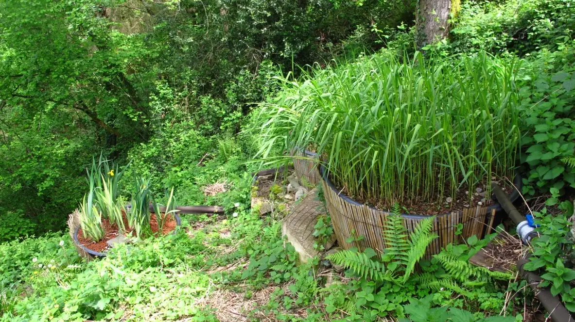 Bassin de phytoépuration au pied de la vieille maison en pierre de La Roquette